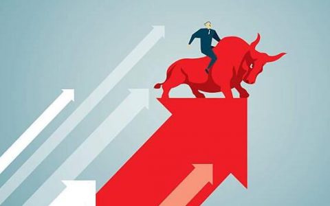 金丝楠木期货直播间