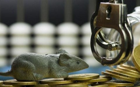 期货现场交易直播视频